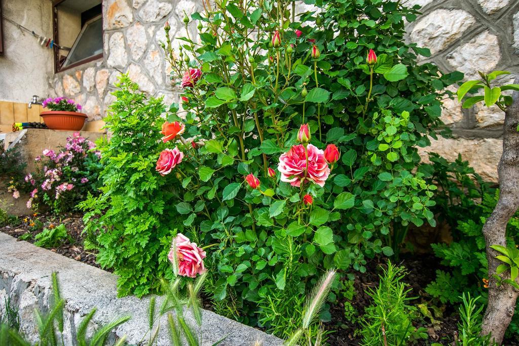 Diana Rooms And Apartments Starigrad Paklenica Exterior foto